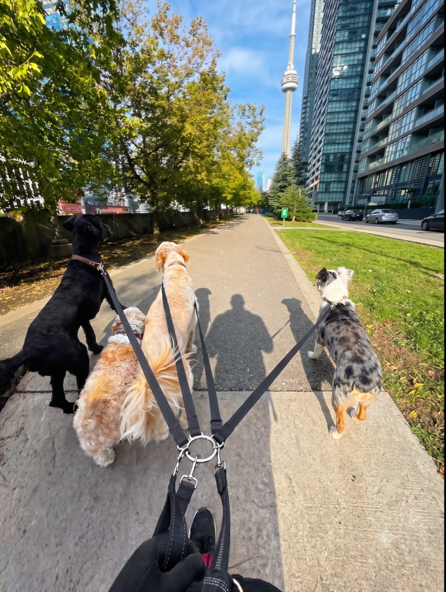 Hero Background